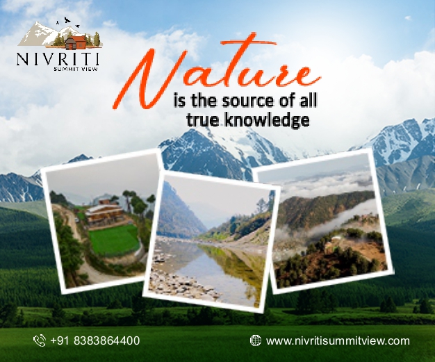 Top Selling Multipurpose WP Theme